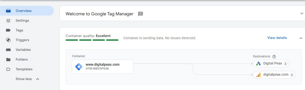 Actual Digital Peax GTM Overview showing the container connected directly to Google Ads and Google Analytics.